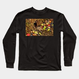 Wild  cute garden mouse Long Sleeve T-Shirt